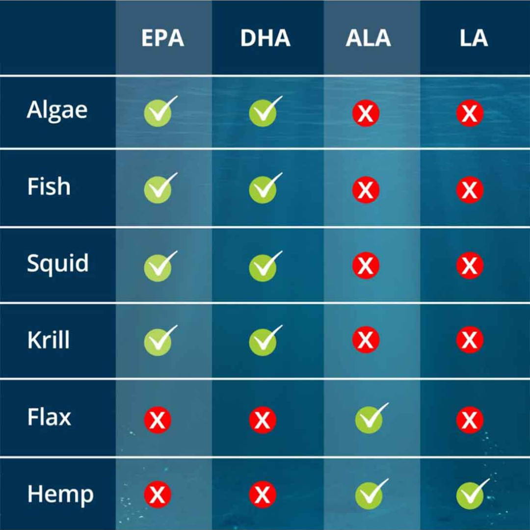 Best Sources of OMEGA3 For Dogs & Cats (Trash your Fish Oil) PAWDEGA